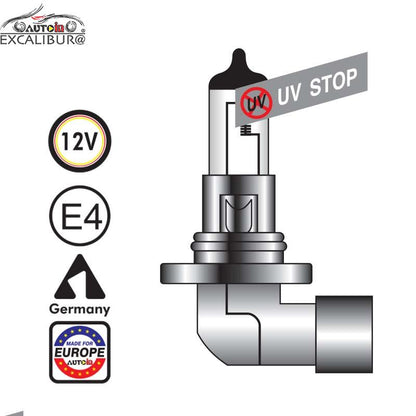 H10 12V 42W SIJALICA 5160